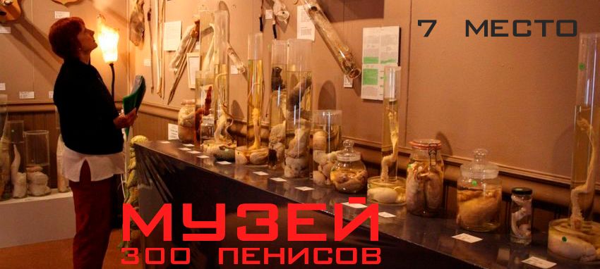 muzei-300-penisov muzei-300-penisov